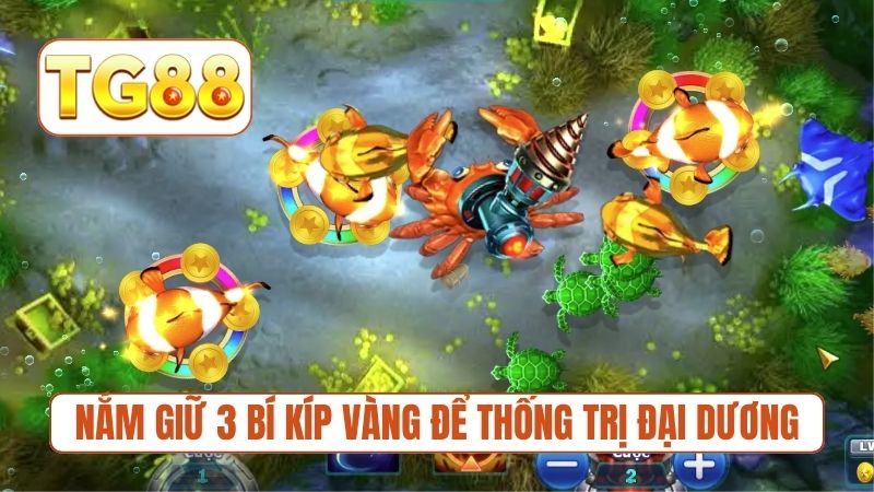 Nắm giữ 3 bí kíp vàng để thống trị đại dương